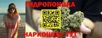 гидропоника Новокубанск