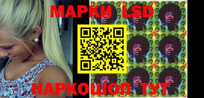 гидропоника Новокубанск