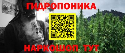 гидропоника Новокубанск