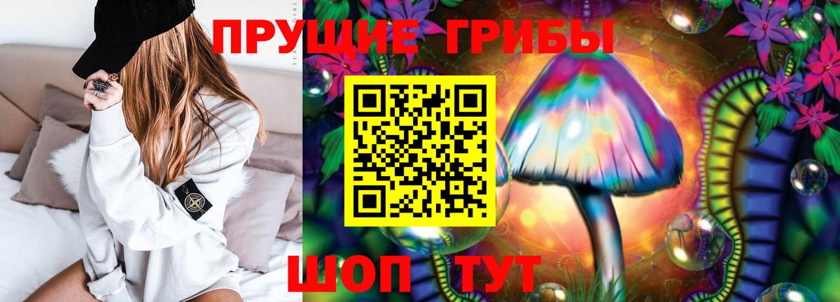 Псилоцибиновые грибы Psilocybe  Вход с VPN  Псилоцибиновые грибы Magic Shrooms  Тамбов 